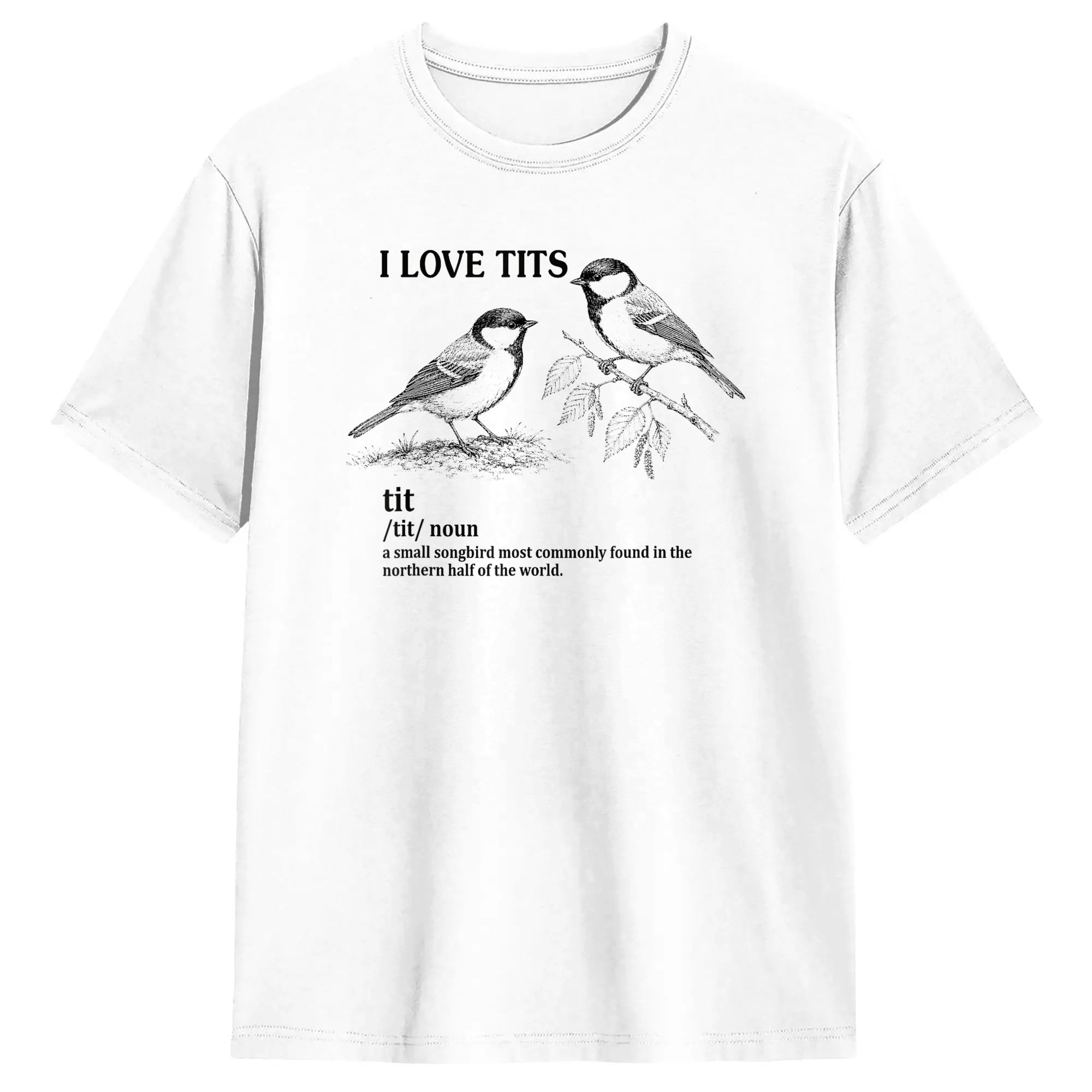 I Love Tits WLW Ally Queer T S - Vintage Queer Fashion 评论和价格